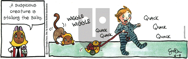 Breaking Cat News on Saturday June 9, 2018 Comic Strip