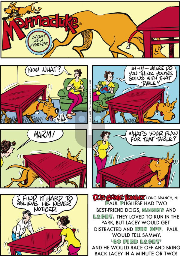 Marmaduke on Sunday August 14, 2016 Comic Strip