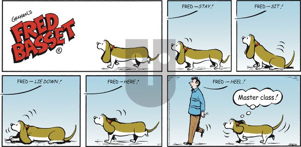 Fred Basset on Sunday May 17, 2020 Comic Strip