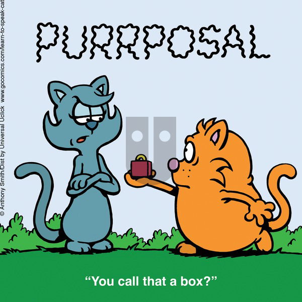 Learn to Speak Cat on Sunday February 16, 2025 Comic Strip