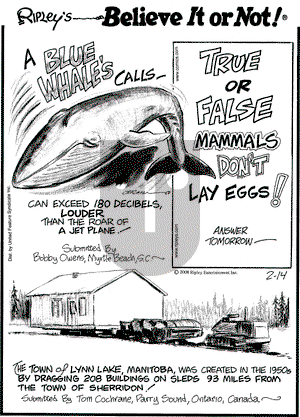 Ripley's Believe It or Not on Thursday February 14, 2008 Comic Strip