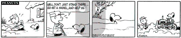 Peanuts on Sunday January 21, 1996 Comic Strip