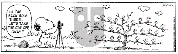 Peanuts on Saturday March 1, 1997 Comic Strip