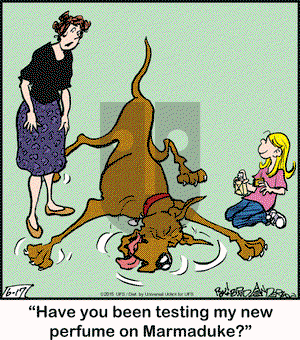 Marmaduke on Wednesday June 17, 2015 Comic Strip