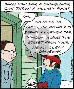 Real Life Adventures on Friday December 17, 2010 Comic Strip