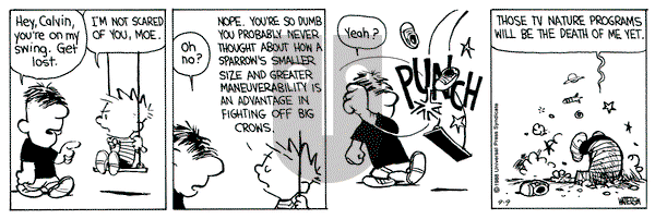 Calvin and Hobbes on Friday September 9, 1988 Comic Strip