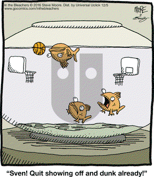 In the Bleachers on Monday December 5, 2016 Comic Strip