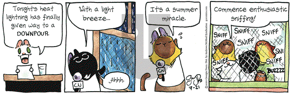 Breaking Cat News on Tuesday July 21, 2020 Comic Strip