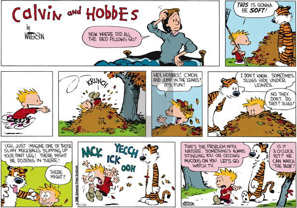 Calvin and Hobbes - Sunday November 20, 2011 Comic Strip
