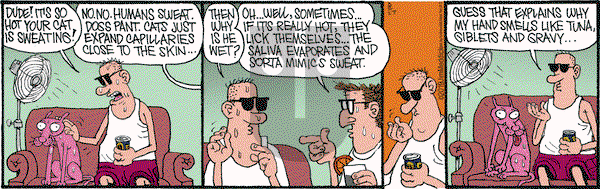 Monty on Tuesday August 27, 2019 Comic Strip