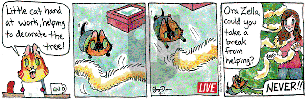 Breaking Cat News - Friday December 1, 2023 Comic Strip