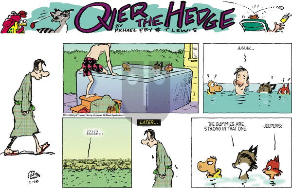 Over the Hedge - Sunday February 16, 2025 Comic Strip