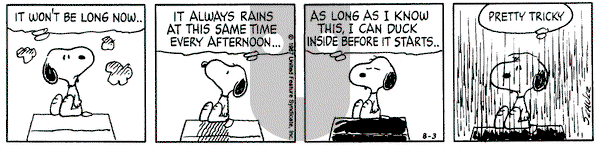 Peanuts on Monday August 3, 1987 Comic Strip