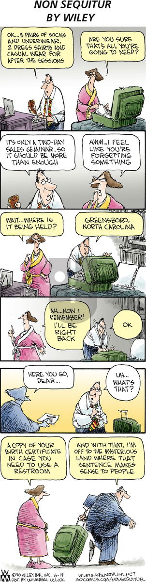 Non Sequitur on Sunday June 19, 2016 Comic Strip