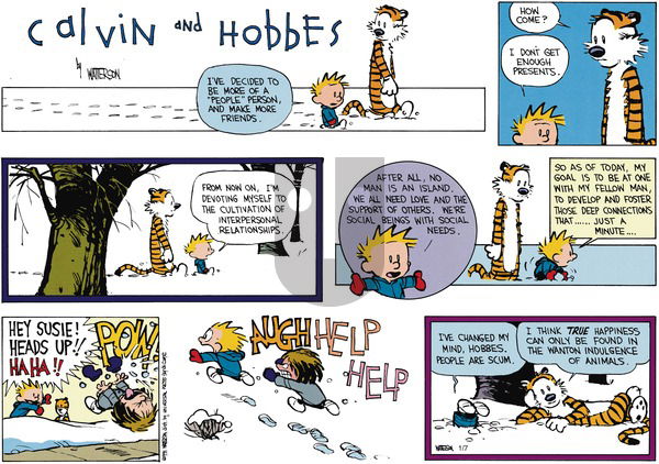 Calvin and Hobbes on Sunday February 24, 1991 Comic Strip