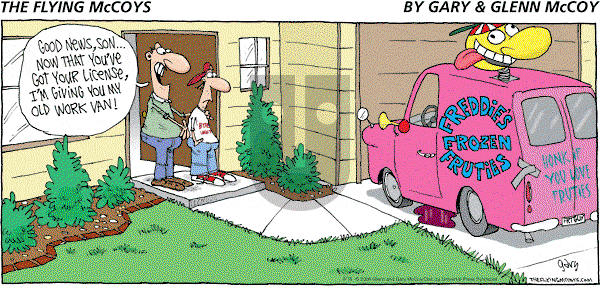 The Flying McCoys - Sunday May 18, 2008 Comic Strip