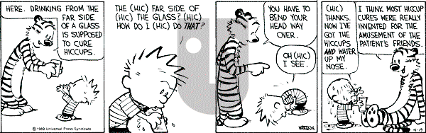 Calvin and Hobbes - Wednesday April 19, 1989 Comic Strip