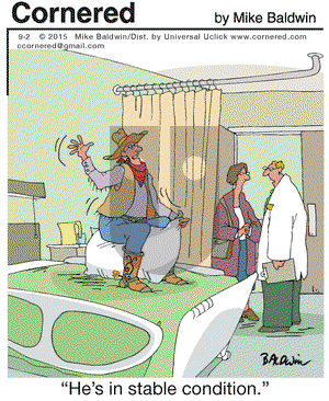 Cornered on Wednesday September 2, 2015 Comic Strip