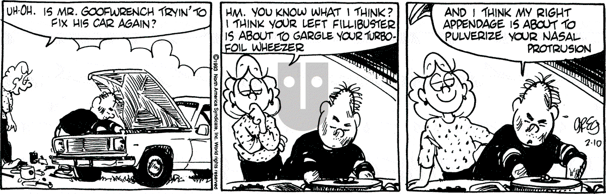 Luann - Wednesday February 10, 1993 Comic Strip