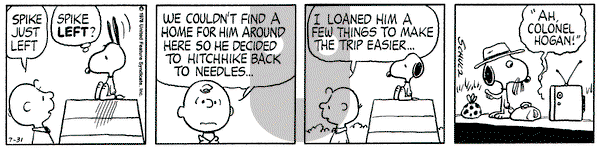 Peanuts on Monday July 31, 1978 Comic Strip