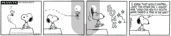 Peanuts on Wednesday October 21, 1970 Comic Strip