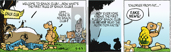 Over the Hedge on Monday April 23, 2018 Comic Strip