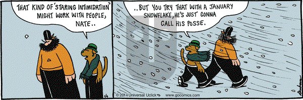 Overboard on Saturday January 4, 2014 Comic Strip