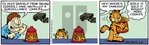 Garfield on Thursday June 8, 1995 Comic Strip