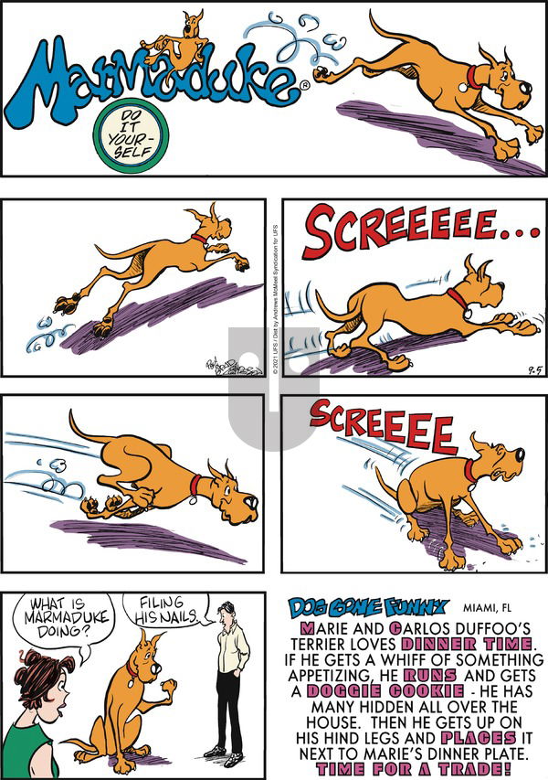 Marmaduke on Sunday September 5, 2021 Comic Strip
