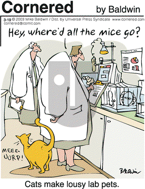 Cornered on Wednesday March 19, 2003 Comic Strip