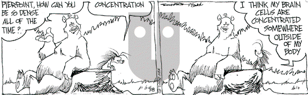 The Grizzwells on Tuesday April 8, 2008 Comic Strip