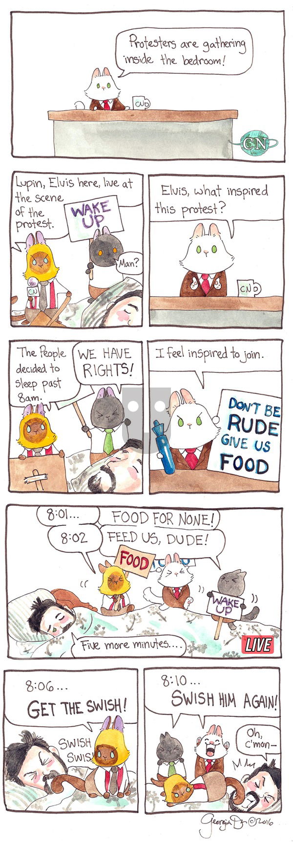 Breaking Cat News on Sunday March 19, 2017 Comic Strip