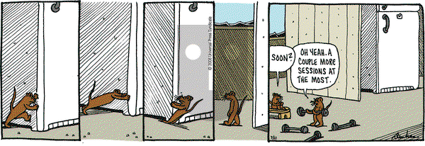 Overboard on Friday July 11, 2008 Comic Strip