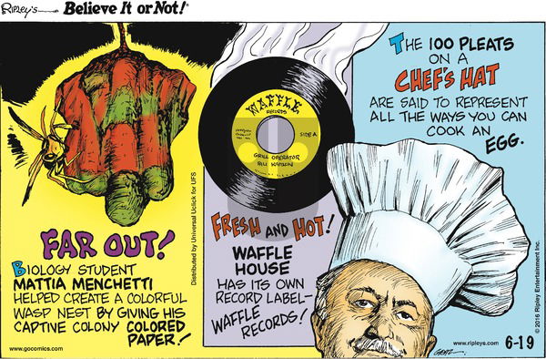Ripley's Believe It or Not on Sunday June 19, 2016 Comic Strip