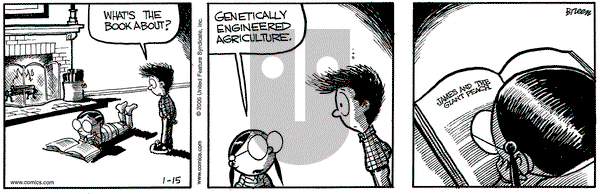 Grand Avenue on Saturday January 15, 2005 Comic Strip