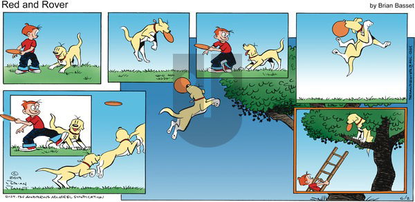 Red and Rover on Sunday June 2, 2019 Comic Strip