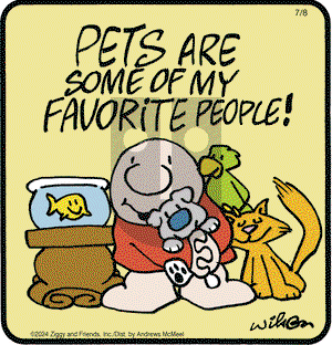 Ziggy - Monday July 8, 2024 Comic Strip
