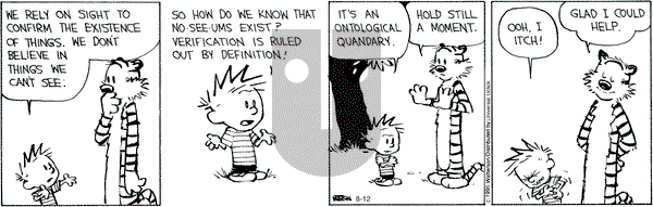 Calvin and Hobbes on Wednesday August 12, 2015 Comic Strip