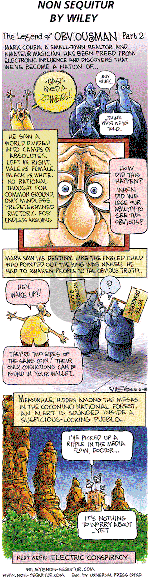 Non Sequitur on Sunday June 18, 2000 Comic Strip