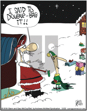 The Flying McCoys on Saturday December 22, 2018 Comic Strip
