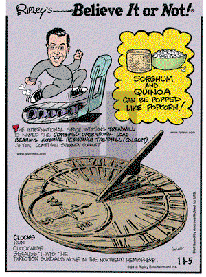 Ripley's Believe It or Not on Monday November 5, 2018 Comic Strip