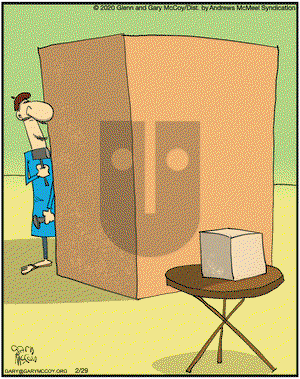 The Flying McCoys on Saturday February 29, 2020 Comic Strip