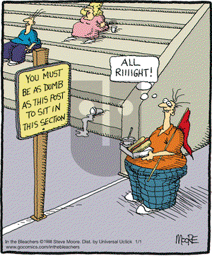In the Bleachers on Friday January 1, 2016 Comic Strip