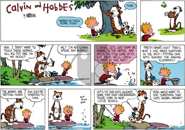 Calvin and Hobbes on Sunday May 11, 1986 Comic Strip