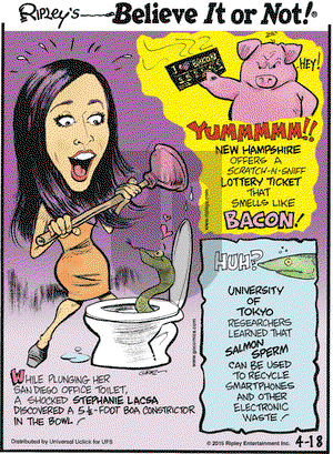 Ripley's Believe It or Not on Saturday April 18, 2015 Comic Strip