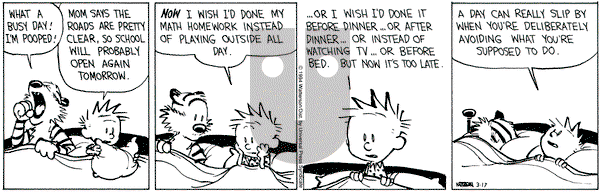 Calvin and Hobbes on Thursday March 17, 1994 Comic Strip