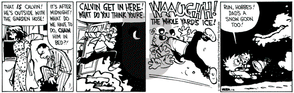 Calvin and Hobbes on Wednesday January 16, 1991 Comic Strip