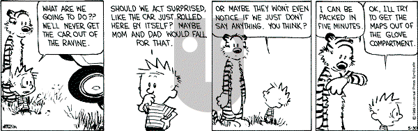 Calvin and Hobbes - Tuesday May 30, 1989 Comic Strip