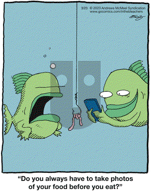 In the Bleachers - Thursday March 23, 2023 Comic Strip