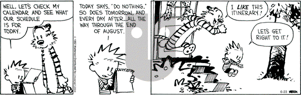 Calvin and Hobbes - Saturday June 23, 2012 Comic Strip